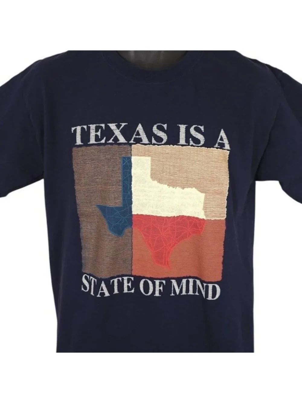 Vintage Texas T Shirt Mens Size Medium Blue Y2K Is A State Of Mind Travel Tee